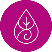 pitta Dosha